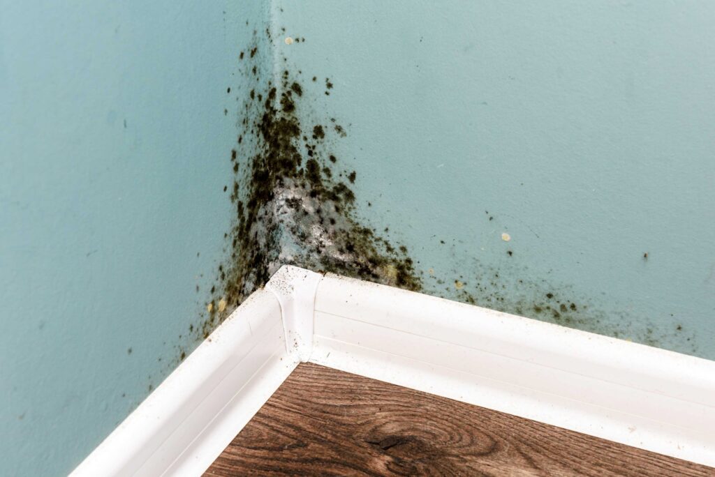 10 Common Rental Property Repairs